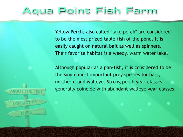 Aqua Point Fish Farm Background